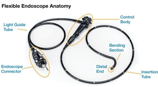 Endoscope